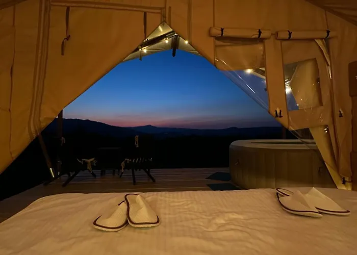 Hutsul Glamp マイコリチン